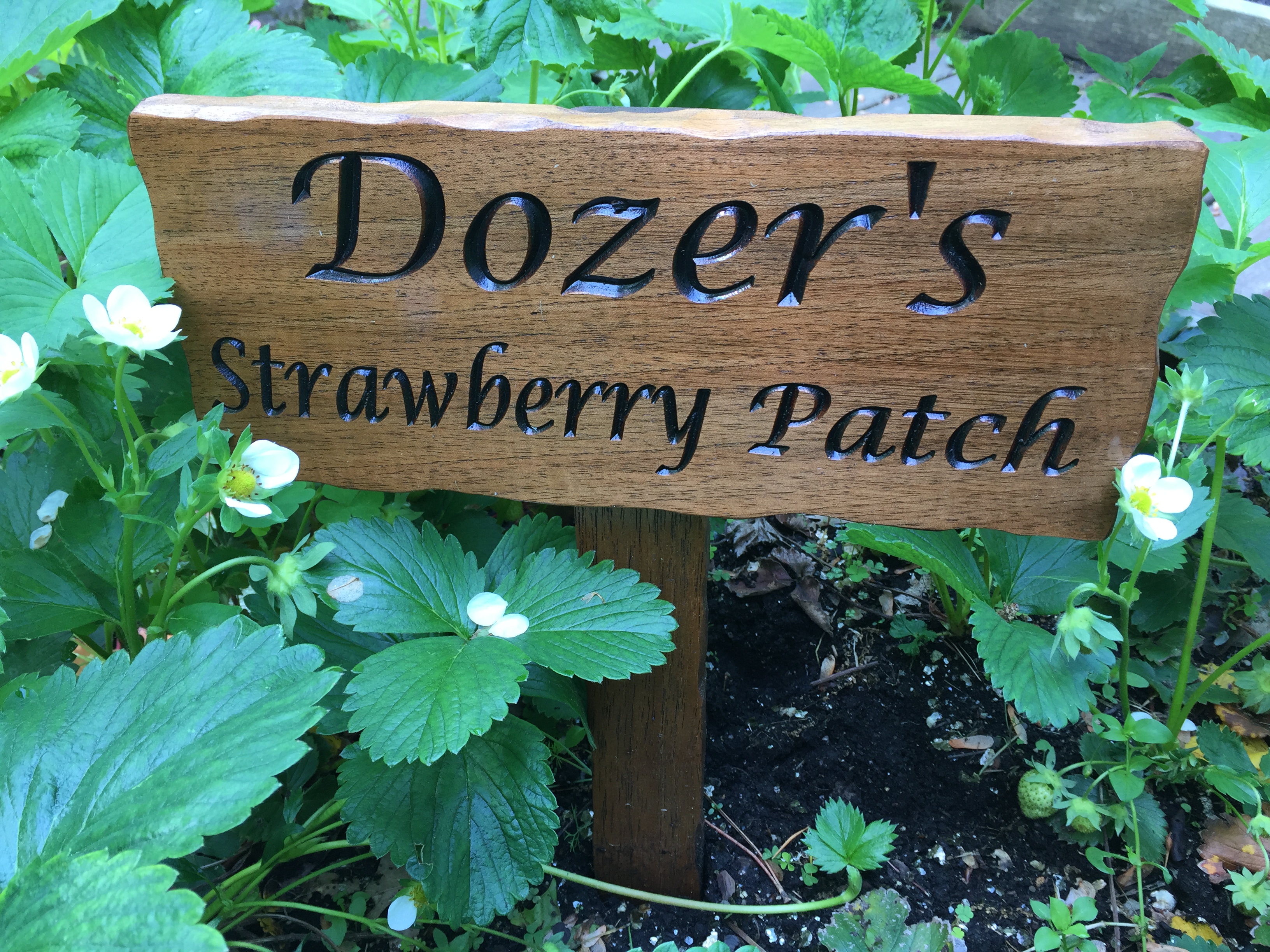 12" x 5" Garden Sign with Stake: benchmarksignsandgifts.com
